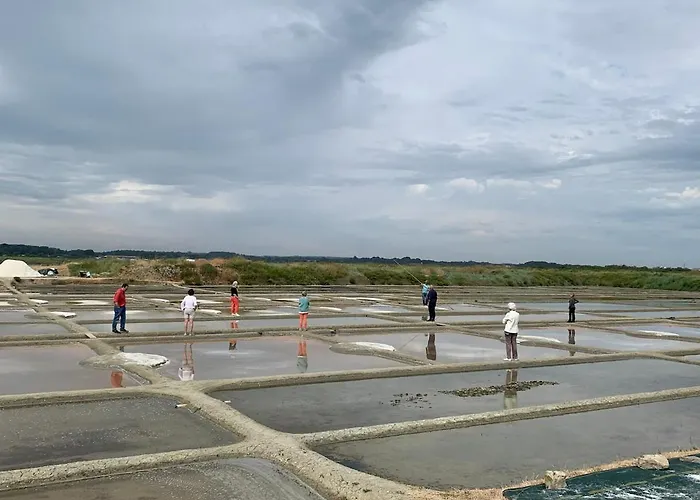 Сasa de vacaciones Family House With Garden *